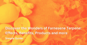 Farnesene terpene with text used for feature image